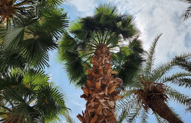 Riad Beni Youssef - Photo 53