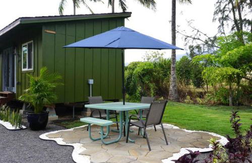 North Shore Palms - Foto 10