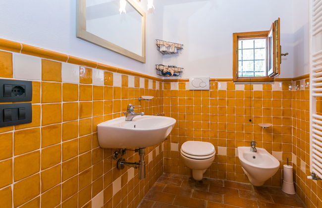 Francigena - Foto 32