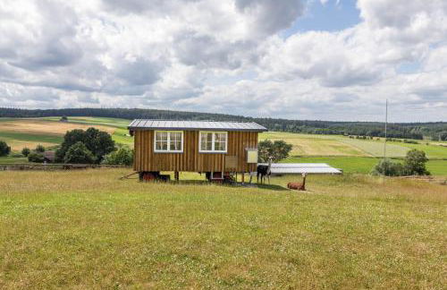 Tinyhouse Alpakawiese - Foto 20
