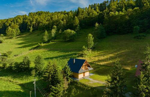 Domek w Górach - Foto 49