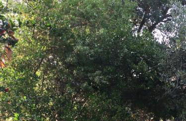 Chalet La Sequoia Orte - Foto 15