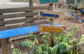 Chácara Recanto da Paz - Photo 57