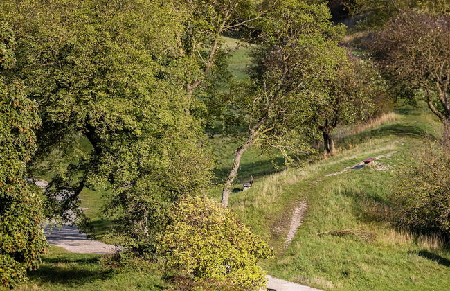 Österport - Visby Lägenhetshotell - Foto 30