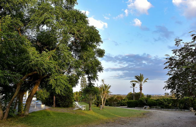 Tenuta Terenzano - Photo 26