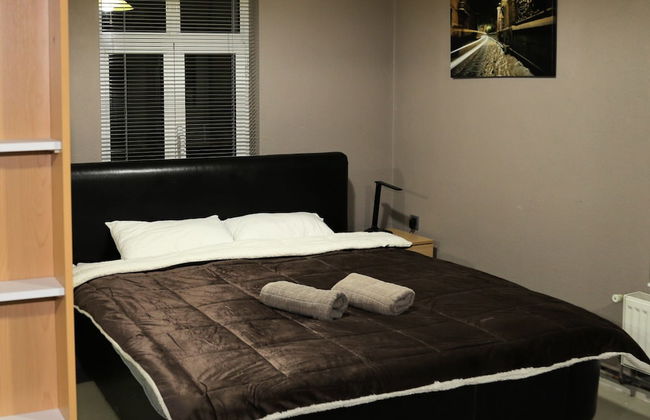 Vila Ambasador Bratin Dol - Foto 4