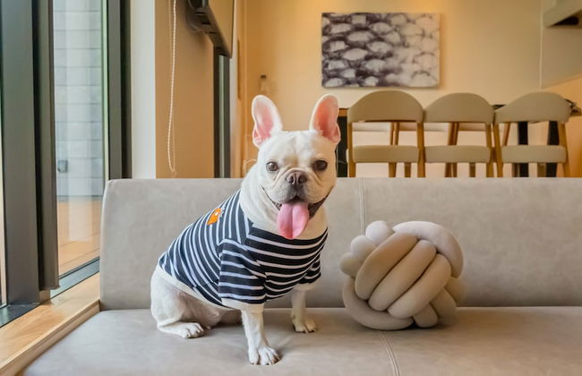 Rakuten STAY VILLA Aso Kurokawa - Foto 33