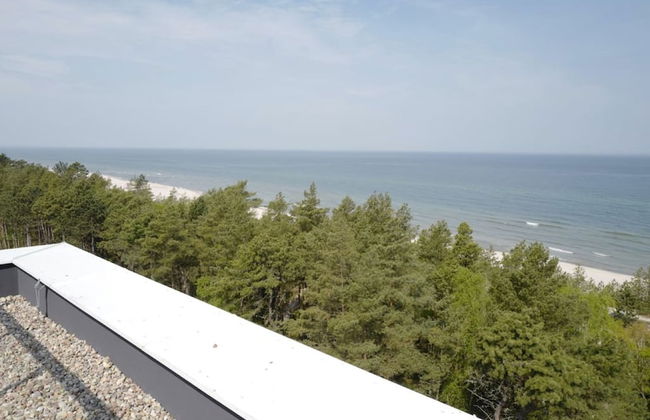 Art Forrest 33 K in Rogowo - Photo 24