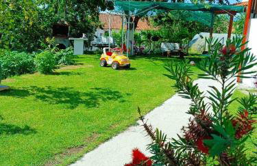 Τα πλατάνια - Foto 28