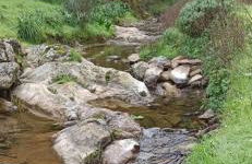 Casa Monica - Photo 32