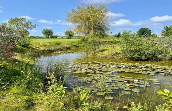 Apartment in Vrouwenpolder Near Beach - Foto 35