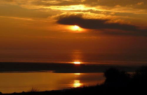 1 Bed in Llansaint 89780 - Photo 25