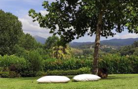 Quinta da Vinha do Souto - Foto 21