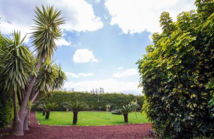 Quinta do Torcaz - Foto 101