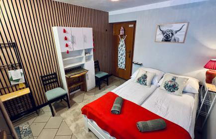 Kaszuby, agroturystyka z alpakami- pokój z łazienką - Foto 15