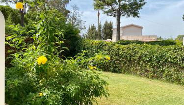 Villa Zen - beautiful private pool-heating option, hot tub, beautiful garden - Photo 5