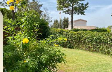 Villa Zen - beautiful private pool-heating option, hot tub, beautiful garden - Foto 5