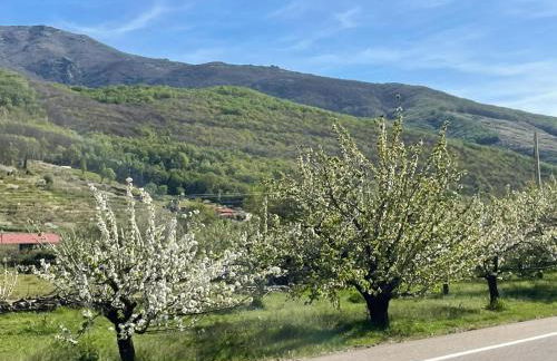 CASA BRIGIDA - Foto 44