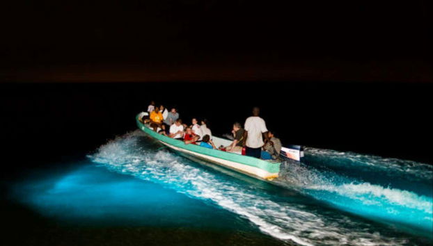 Night Tour of the Manialtepec Lagoon - Foto 3
