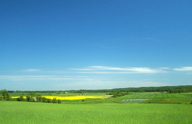 Cottages in a Quiet Neighborhood, Rusinowo - Foto 13