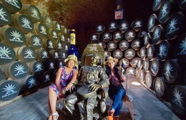 Excursión privada a la tequilera Corralejo y la zona arqueológica Plazuelas - Foto 4