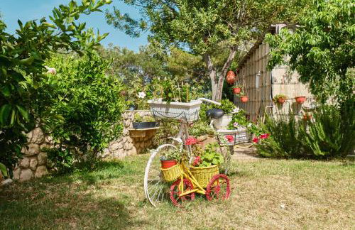 Apartments with parking space Cunski, Losinj - 7867 - Foto 8