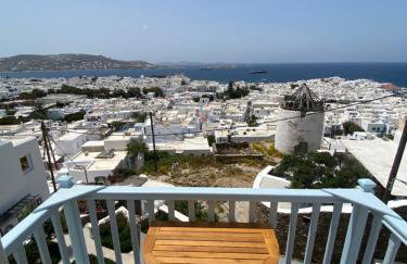 THE VIEW OF MYKONOS - Foto 4
