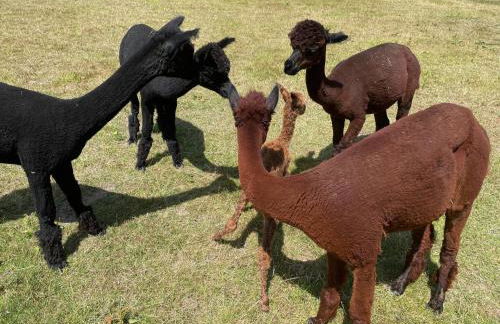 Wellinghill Cottage - Foto 33