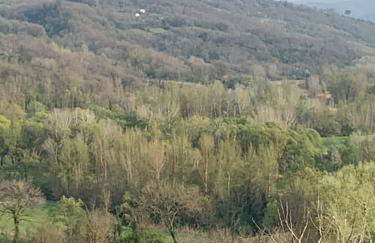 Casa Capoleto - Foto 43