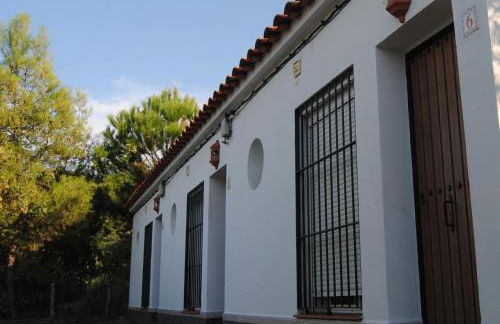 Aparthotel Las Palomas - Photo 17