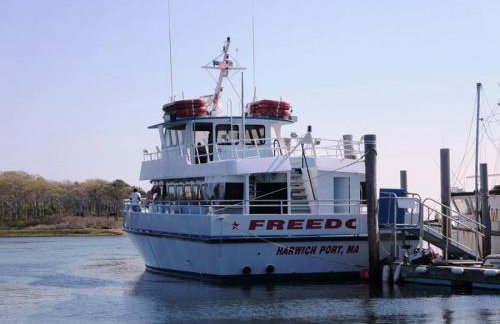 41 Whip O Will Lane Harwich Cape Cod - Whip-o-Will Woods - Foto 31