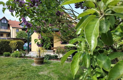 Ferienwohnungen Am Seeufer 11 - Foto 25