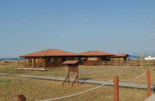 Pepita Flats - Foto 37