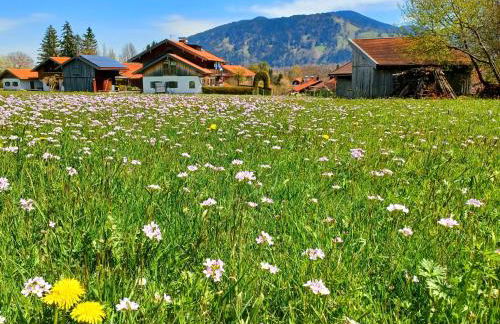 Ferienwohnung Geierstein - Foto 16