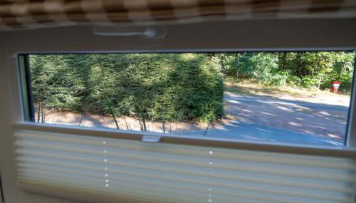 Waldblick - Erholung mitten in der Natur - Foto 2