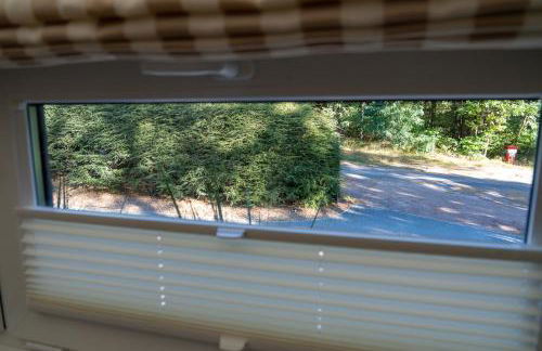 Waldblick - Erholung mitten in der Natur - Foto 2