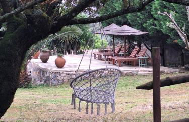 Casal das Nogueiras, casas rurais de charme agradáveis e acolhedoras - Foto 57