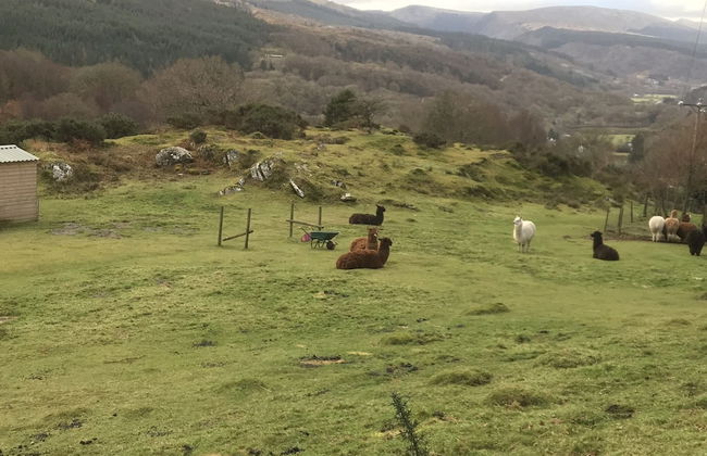 Impeccable 2-bed Cottage Near Betws y Coed - Foto 16