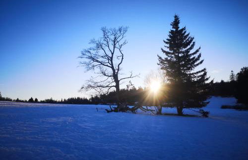 Chalet à L'Orée du Bois - Foto 40
