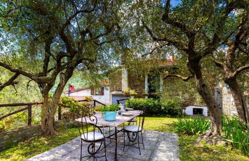 Hostdomus - Olive & Garden - Photo 59