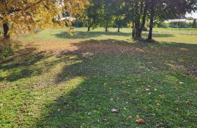 le logis de la forêt - Photo 2