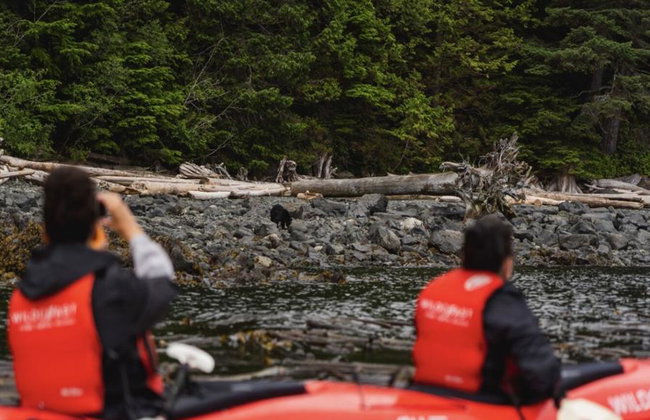 Full Day Kayaking with Whales Tour - Foto 7