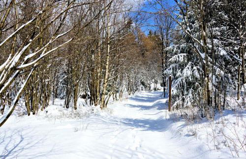 Ferienwohnung Tannenblick 3-3 - Foto 21