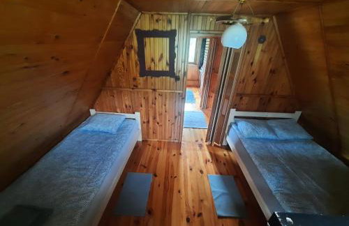 Parisowka w Wielkim Lesie - Foto 3