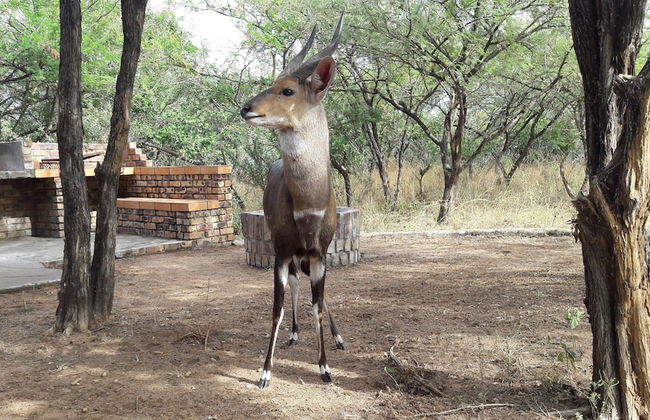 Umvangazi Rest - Enjoy a Relaxing, Rejuvenating and Peaceful Setting in the Bush - Foto 30