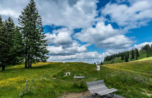 FEWO 2 Panoramablick - NEU incl 3-WeltenCard mit 140 kostenlosen Attraktionen - Foto 30