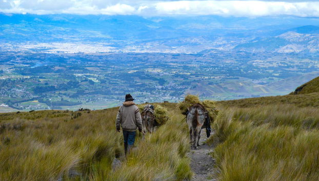 Hiking to the Chimborazo Volcano Ice Mine - Foto 3