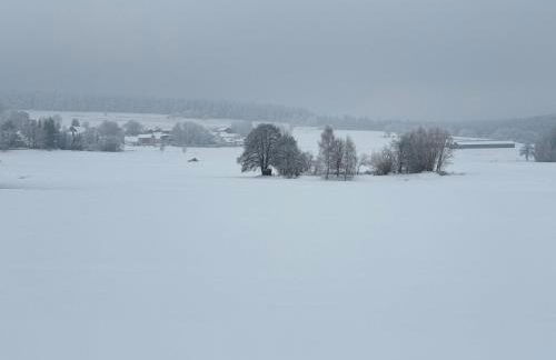 Ziegelhüttenblick -auch für Monteure geeignet - Foto 3