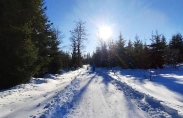 Appartement 13 im Haus Dreisessel - Foto 38