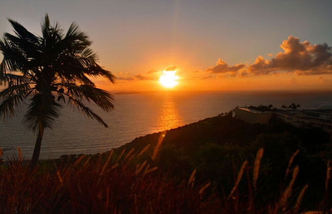 Beachfront Studios - Foto 53